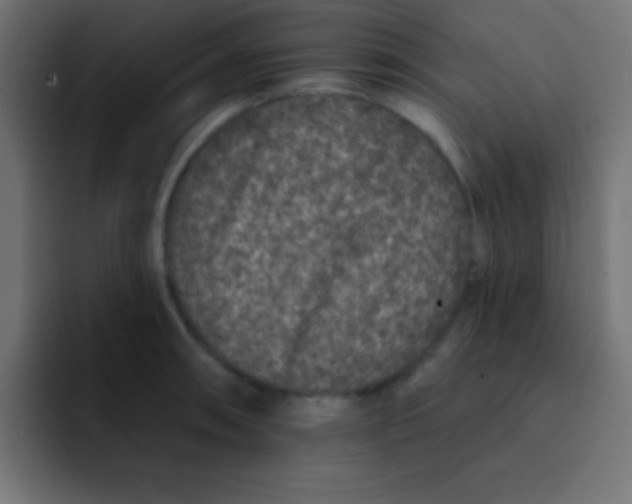 X0000092081090200710031132