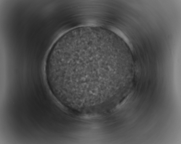 X0000092081091200710031132