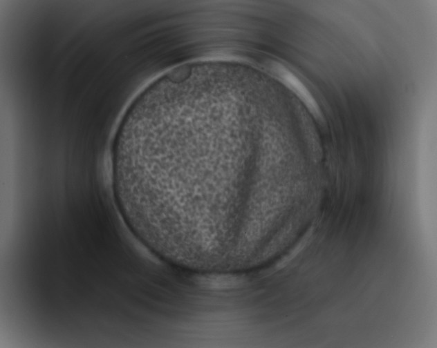 X0000092081092200710031132