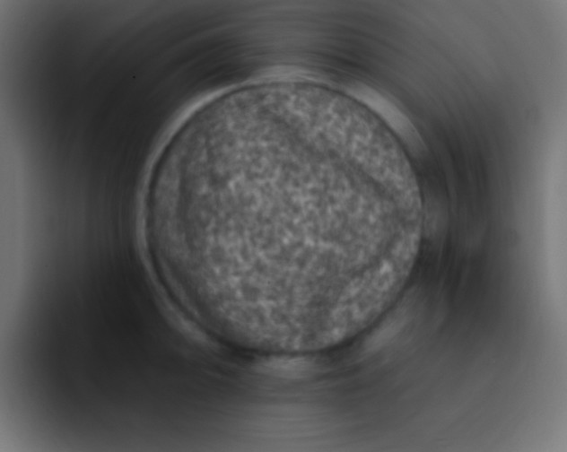 X0000092081094200710031132