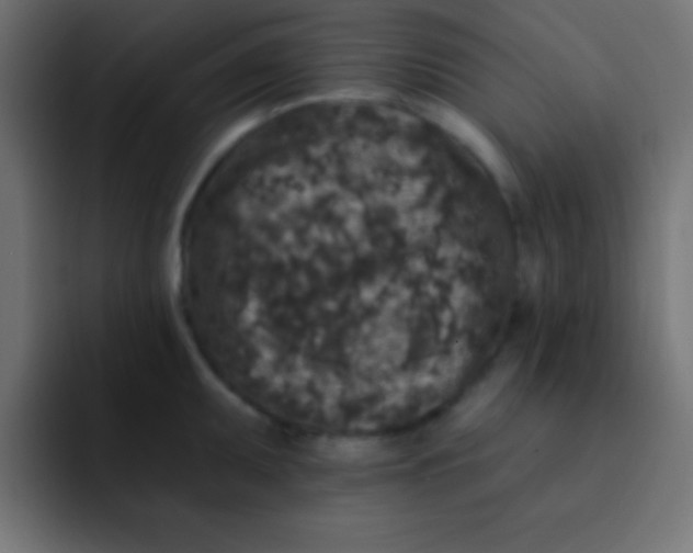 X0000092081095200710031132