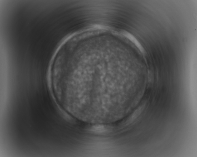 X0000092081098200710031132