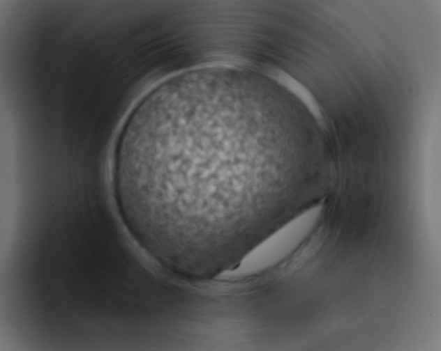 X0000092081099200710031132