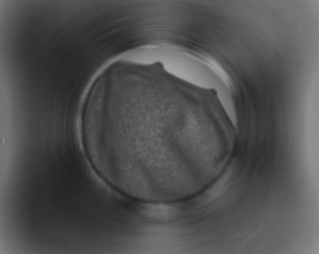 X0000092081100200710031132