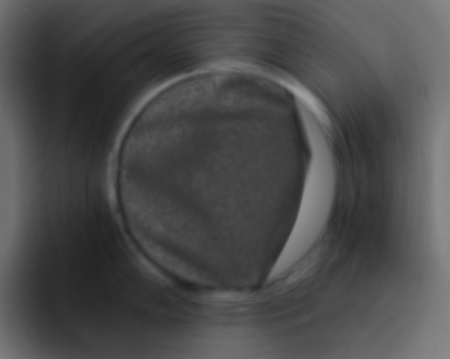 X0000092081102200710031132