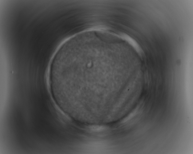 X0000092081103200710031132