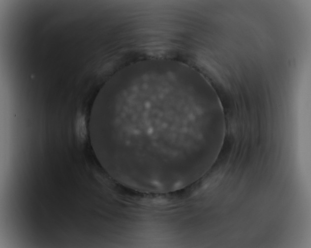 X0000092081106200710031131