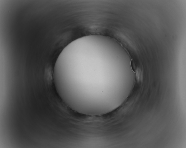 X0000092081107200710031131