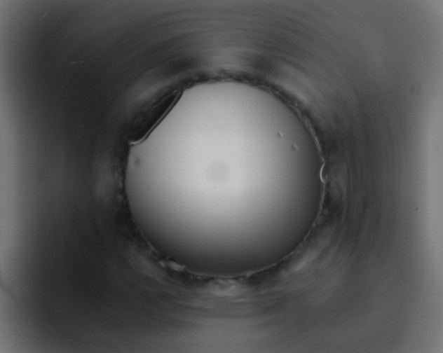 X0000092081112200710031131