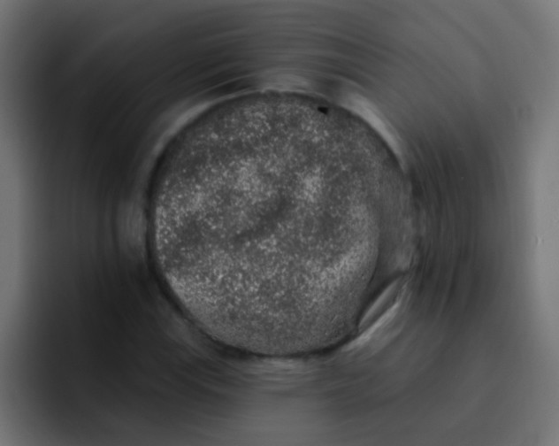 X0000092081115200710031131