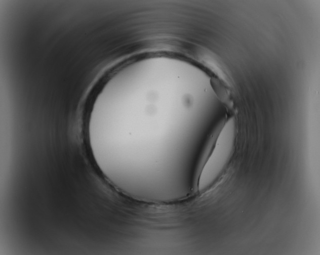 X0000092081116200710031131