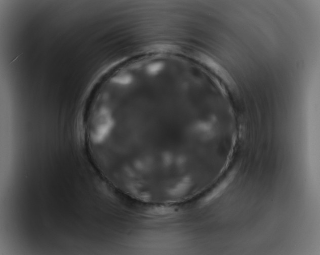 X0000092081117200710031131