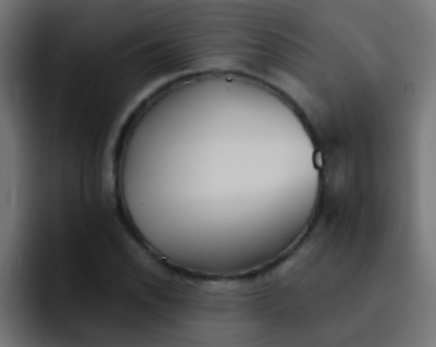 X0000092081118200710031131