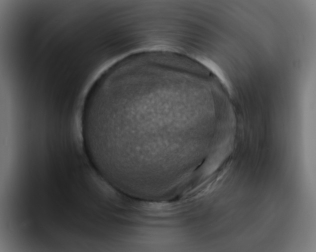 X0000092081120200710031131