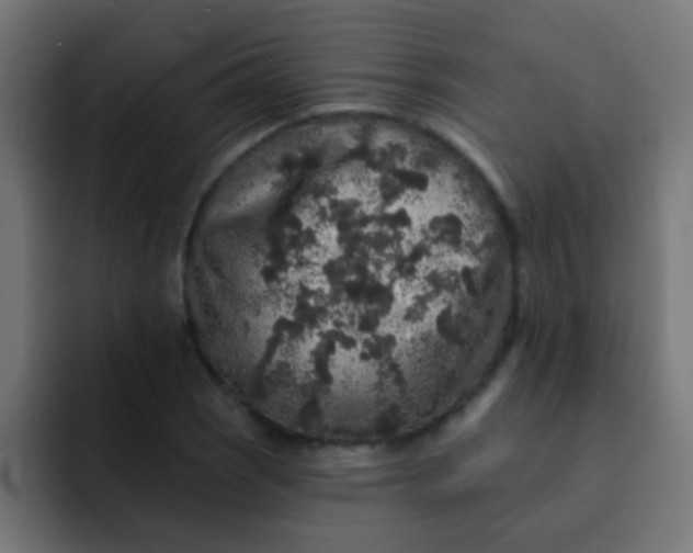 X0000092081121200710031131