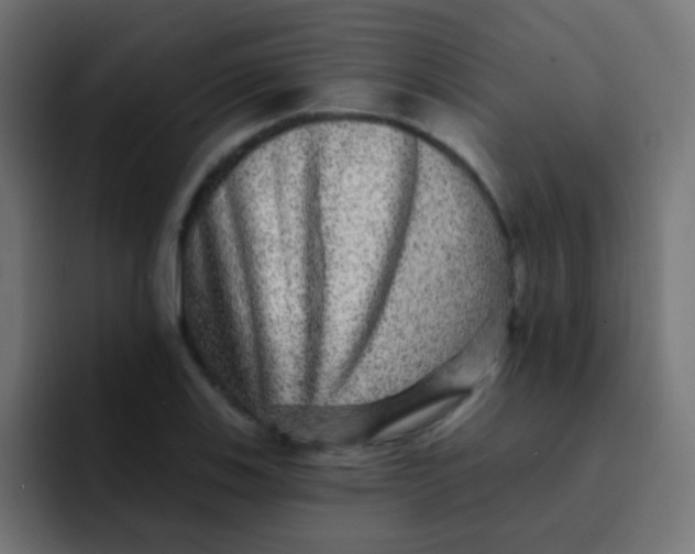 X0000092081123200710031131