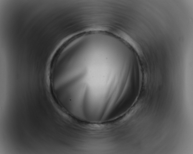 X0000092081124200710031131