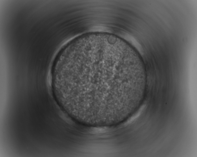 X0000092081125200710031131