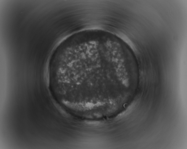 X0000092081127200710031131