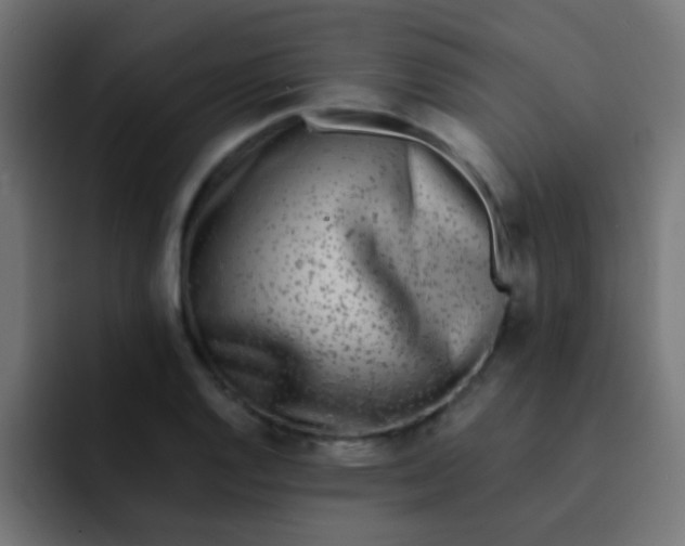 X0000092081128200710031131