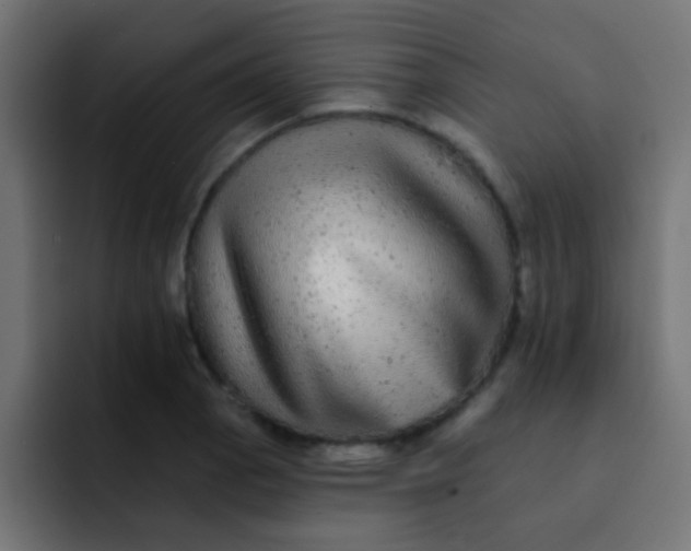 X0000092081129200710031131