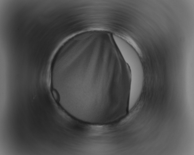 X0000092081132200710031131