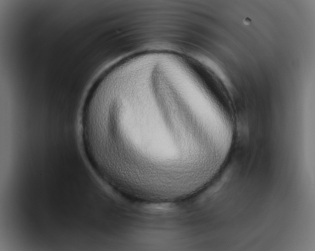 X0000092081133200710031132