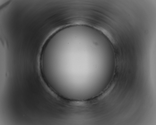 X0000092081134200710031132