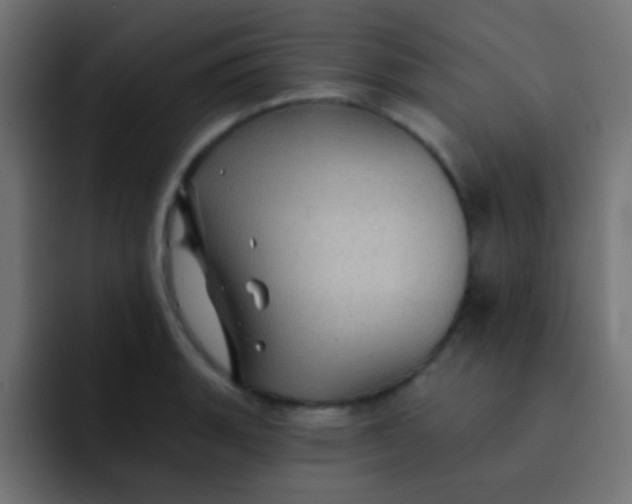 X0000092081135200710031132