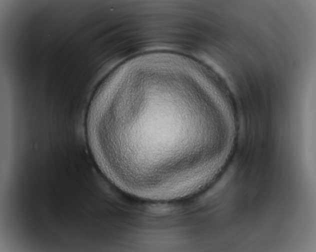 X0000092081137200710031132