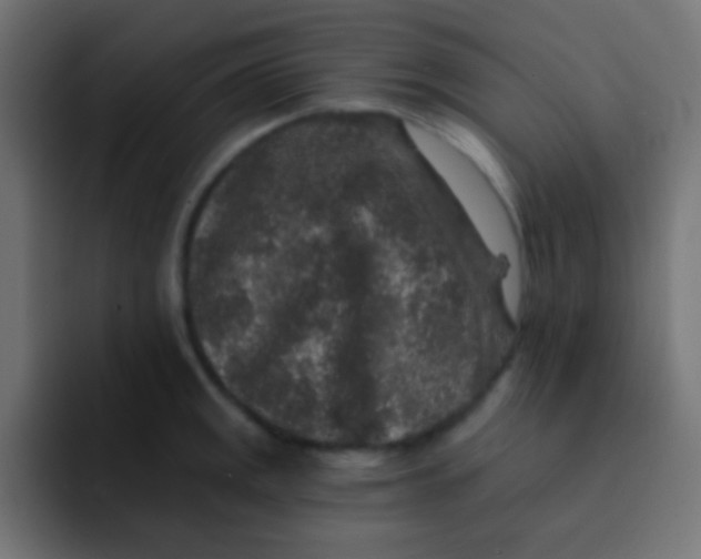 X0000092081141200710031132