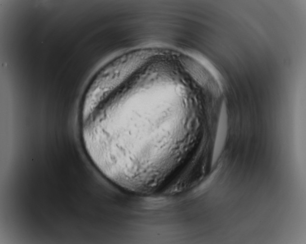 X0000092081142200710031132