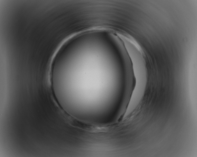 X0000092081148200710031132