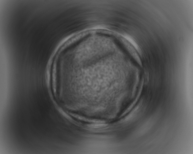 X0000092081151200710031132