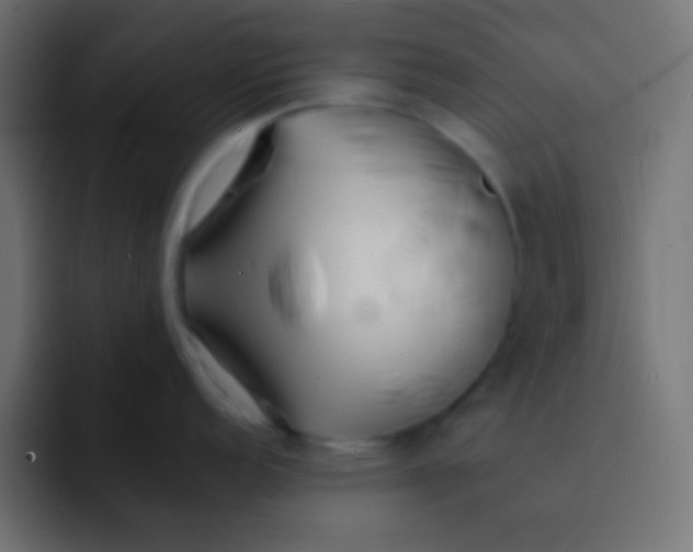 X0000092081152200710031132