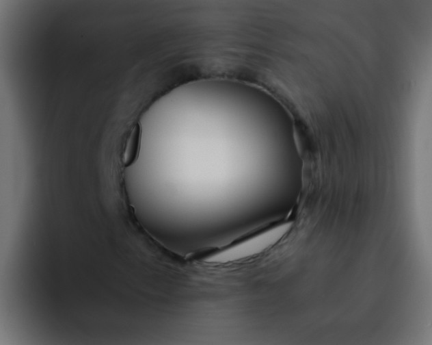 X0000092081153200710031131