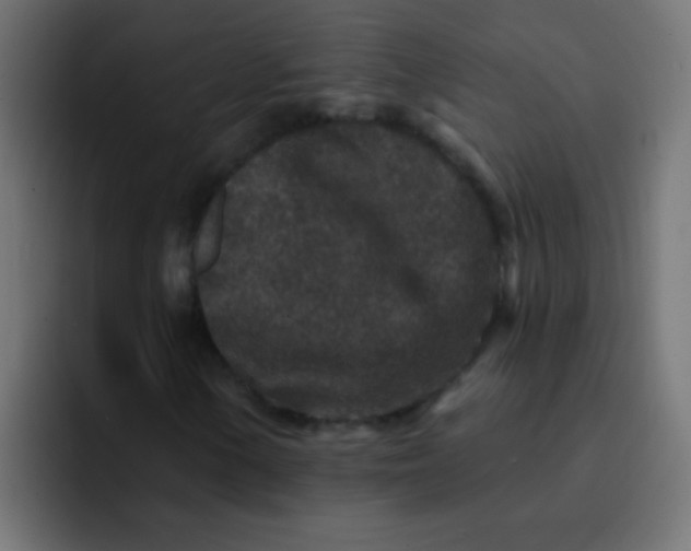 X0000092081154200710031131