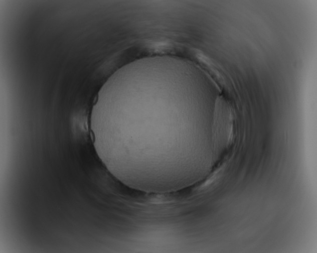 X0000092081155200710031131