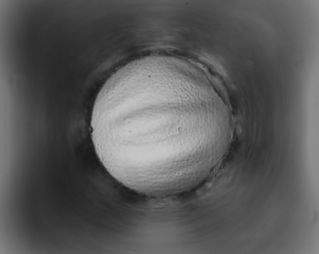 X0000092081159200710031131