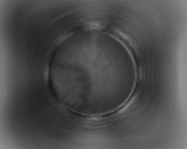 X0000092081161200710031131