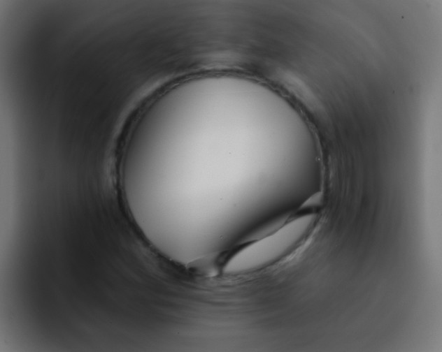 X0000092081164200710031131