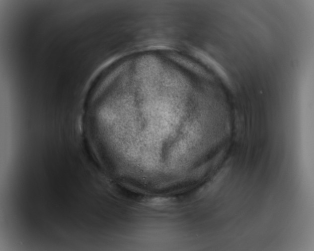 X0000092081166200710031131