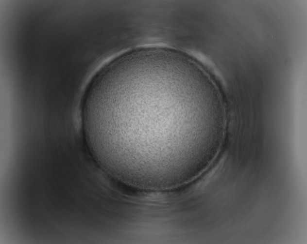 X0000092081167200710031131