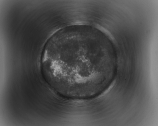 X0000092081170200710031131