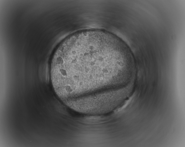 X0000092081171200710031131