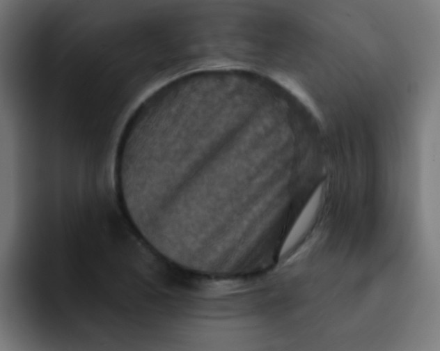 X0000092081173200710031131