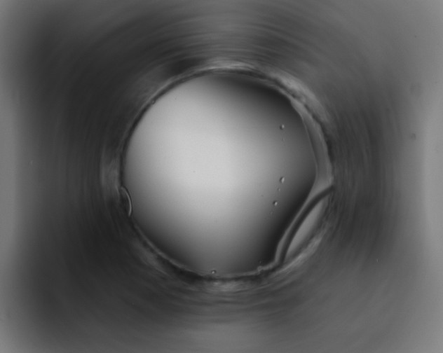 X0000092081177200710031131