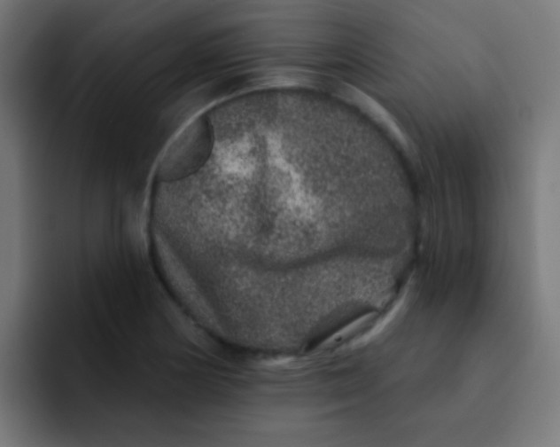 X0000092081178200710031131