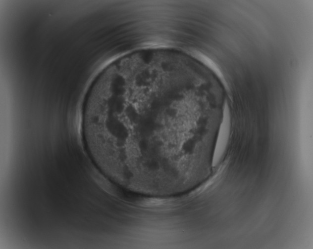 X0000092081179200710031131