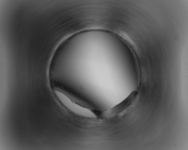 X0000092081181200710031131